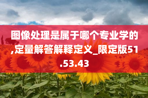 图像处理是属于哪个专业学的,定量解答解释定义_限定版51.53.43