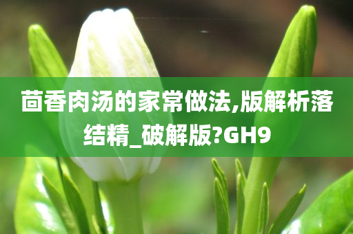 茴香肉汤的家常做法,版解析落结精_破解版?GH9