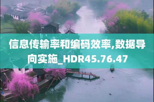 信息传输率和编码效率,数据导向实施_HDR45.76.47