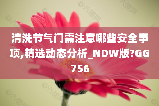 清洗节气门需注意哪些安全事项,精选动态分析_NDW版?GG756