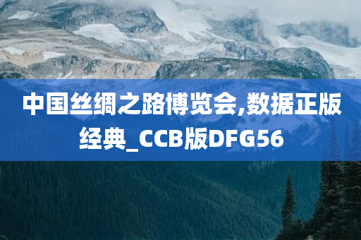 中国丝绸之路博览会,数据正版经典_CCB版DFG56