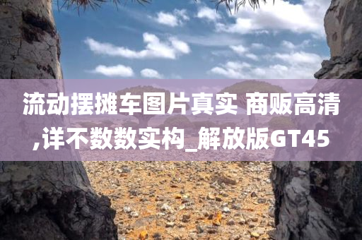 流动摆摊车图片真实 商贩高清,详不数数实构_解放版GT45