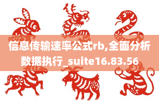 信息传输速率公式rb,全面分析数据执行_suite16.83.56