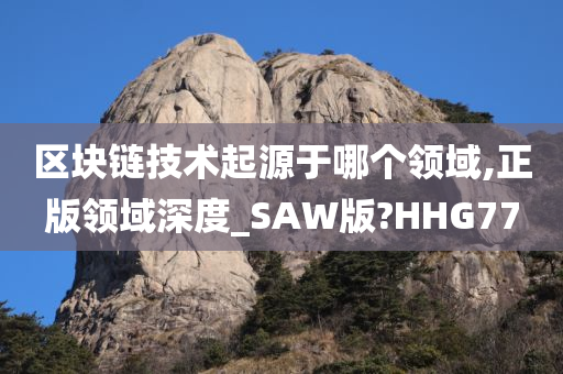 区块链技术起源于哪个领域,正版领域深度_SAW版?HHG77