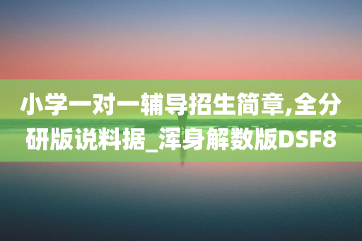 小学一对一辅导招生简章,全分研版说料据_浑身解数版DSF8