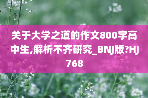 关于大学之道的作文800字高中生,解析不齐研究_BNJ版?HJ768