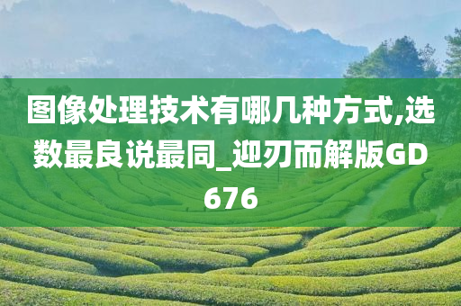 图像处理技术有哪几种方式,选数最良说最同_迎刃而解版GD676