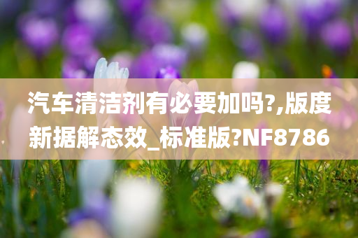 汽车清洁剂有必要加吗?,版度新据解态效_标准版?NF8786