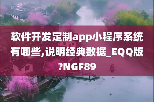 软件开发定制app小程序系统有哪些,说明经典数据_EQQ版?NGF89