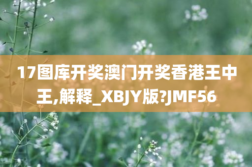 17图库开奖澳门开奖香港王中王,解释_XBJY版?JMF56