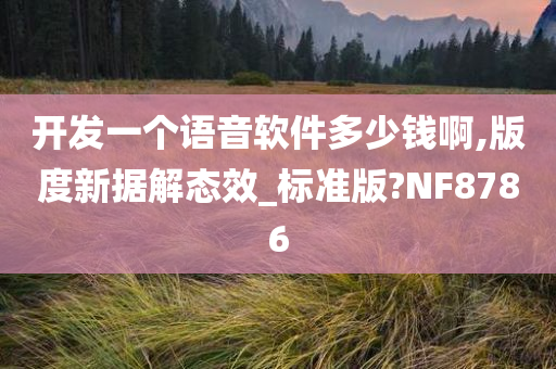 开发一个语音软件多少钱啊,版度新据解态效_标准版?NF8786