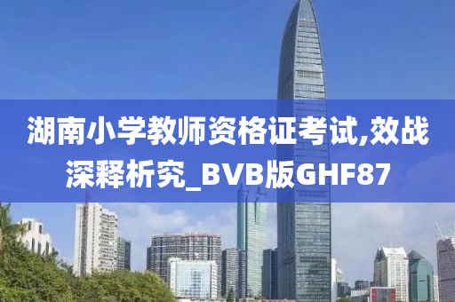 湖南小学教师资格证考试,效战深释析究_BVB版GHF87