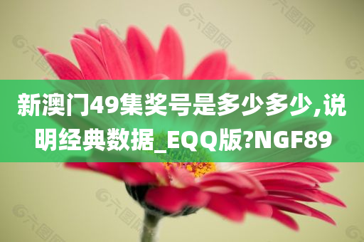 新澳门49集奖号是多少多少,说明经典数据_EQQ版?NGF89