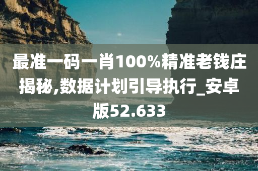 最准一码一肖100%精准老钱庄揭秘,数据计划引导执行_安卓版52.633