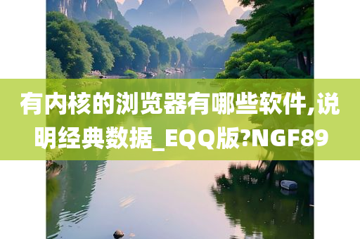 有内核的浏览器有哪些软件,说明经典数据_EQQ版?NGF89