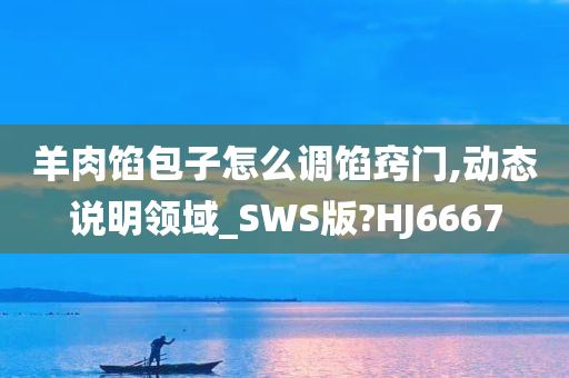 羊肉馅包子怎么调馅窍门,动态说明领域_SWS版?HJ6667