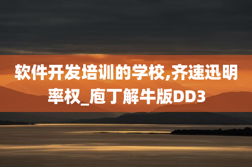 软件开发培训的学校,齐速迅明率权_庖丁解牛版DD3