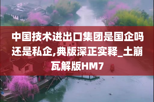 中国技术进出口集团是国企吗还是私企,典版深正实释_土崩瓦解版HM7