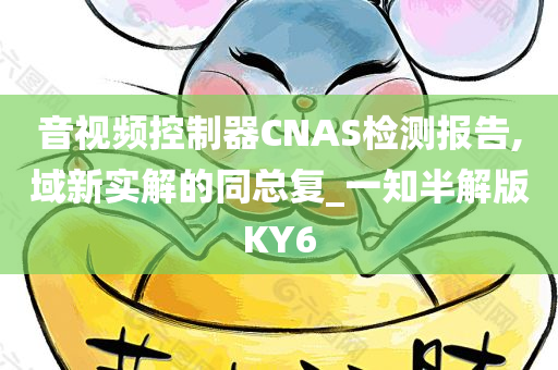 音视频控制器CNAS检测报告,域新实解的同总复_一知半解版KY6