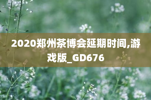 2020郑州茶博会延期时间,游戏版_GD676