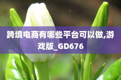 跨境电商有哪些平台可以做,游戏版_GD676