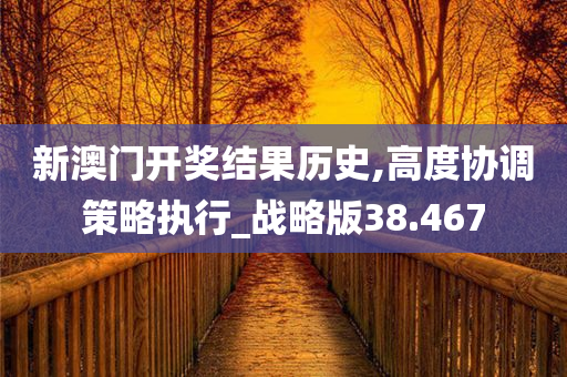 新澳门开奖结果历史,高度协调策略执行_战略版38.467