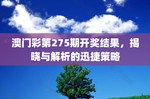 澳门彩第275期开奖结果，揭晓与解析的迅捷策略