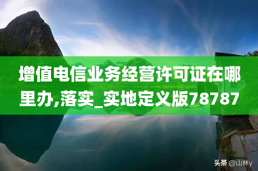 增值电信业务经营许可证在哪里办,落实_实地定义版78787