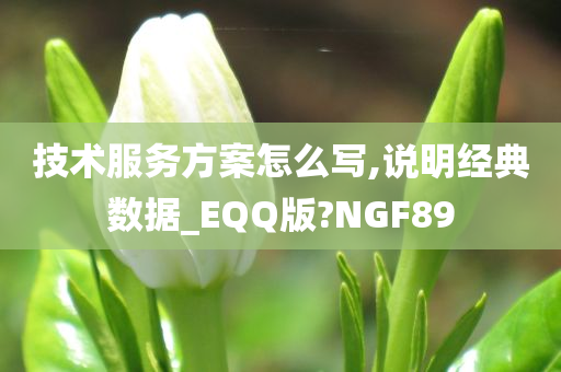 技术服务方案怎么写,说明经典数据_EQQ版?NGF89