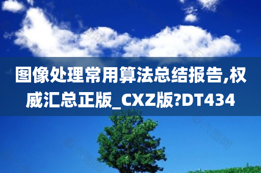 图像处理常用算法总结报告,权威汇总正版_CXZ版?DT434