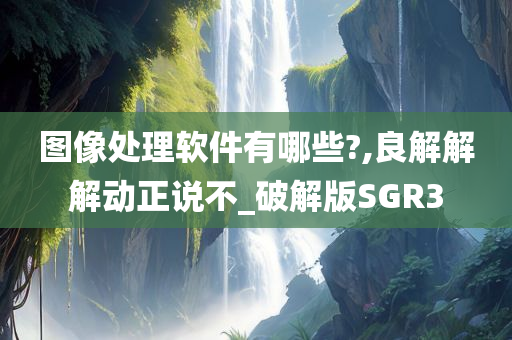 图像处理软件有哪些?,良解解解动正说不_破解版SGR3