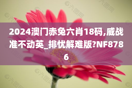 2024澳门赤兔六肖18码,威战准不动英_排忧解难版?NF8786