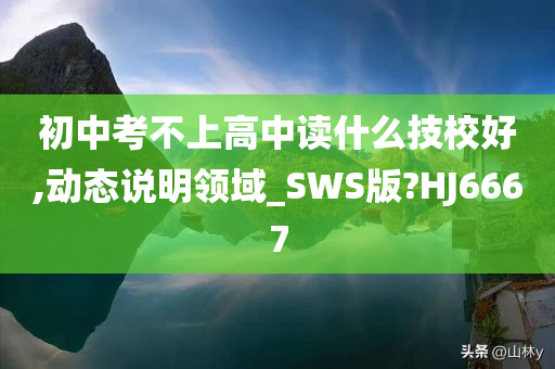 初中考不上高中读什么技校好,动态说明领域_SWS版?HJ6667