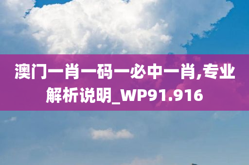 澳门一肖一码一必中一肖,专业解析说明_WP91.916