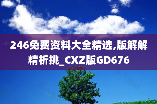 246免费资料大全精选,版解解精析挑_CXZ版GD676