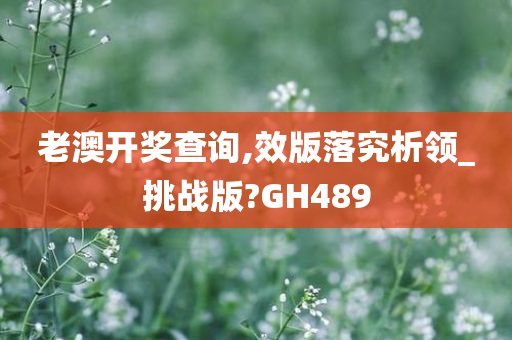 老澳开奖查询,效版落究析领_挑战版?GH489