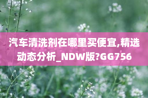 汽车清洗剂在哪里买便宜,精选动态分析_NDW版?GG756