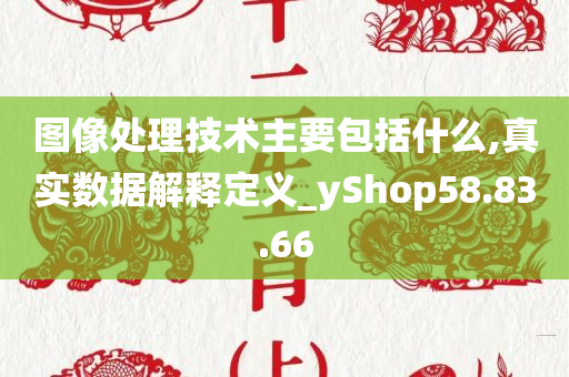 图像处理技术主要包括什么,真实数据解释定义_yShop58.83.66