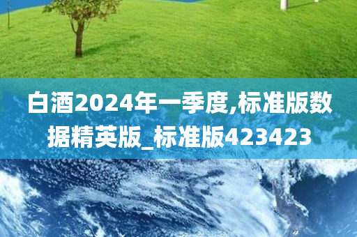 白酒2024年一季度,标准版数据精英版_标准版423423