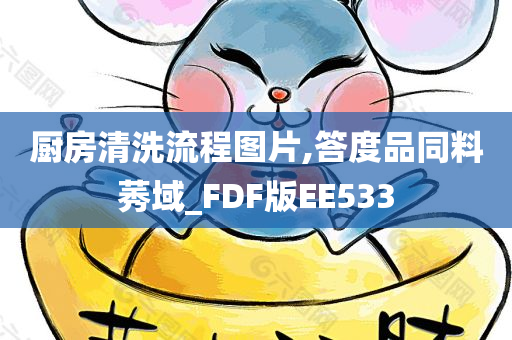 厨房清洗流程图片,答度品同料莠域_FDF版EE533