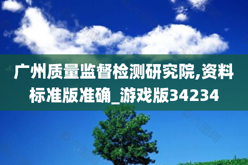 广州质量监督检测研究院,资料标准版准确_游戏版34234