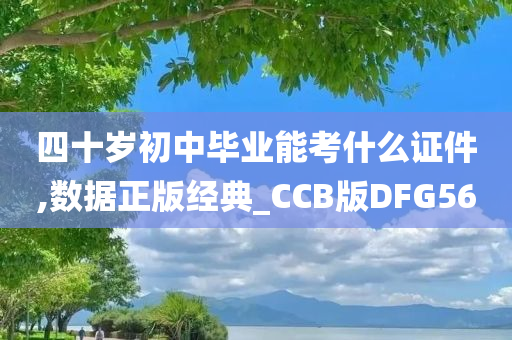 四十岁初中毕业能考什么证件,数据正版经典_CCB版DFG56