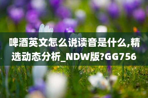 啤酒英文怎么说读音是什么,精选动态分析_NDW版?GG756