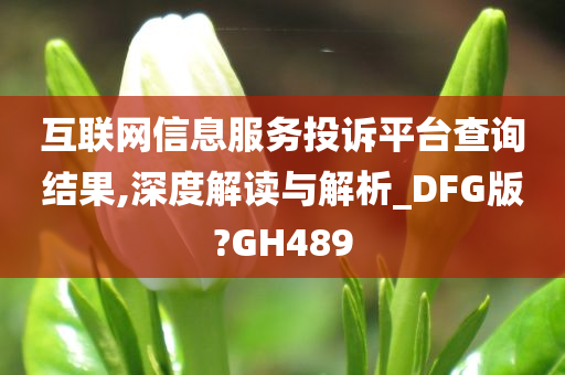 互联网信息服务投诉平台查询结果,深度解读与解析_DFG版?GH489