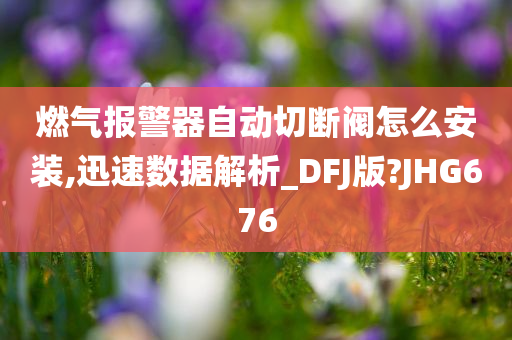 燃气报警器自动切断阀怎么安装,迅速数据解析_DFJ版?JHG676