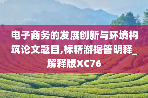 电子商务的发展创新与环境构筑论文题目,标精游据答明释_解释版XC76