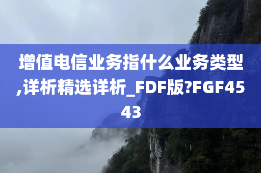 增值电信业务指什么业务类型,详析精选详析_FDF版?FGF4543