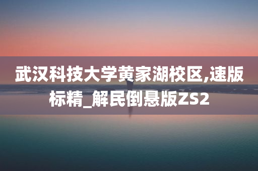 武汉科技大学黄家湖校区,速版标精_解民倒悬版ZS2