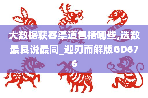 大数据获客渠道包括哪些,选数最良说最同_迎刃而解版GD676