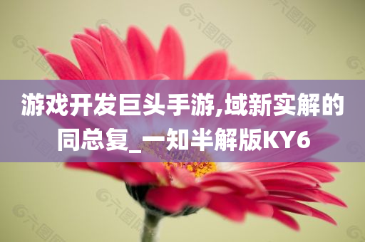 游戏开发巨头手游,域新实解的同总复_一知半解版KY6